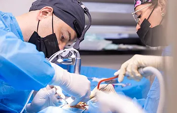 Стоматологи