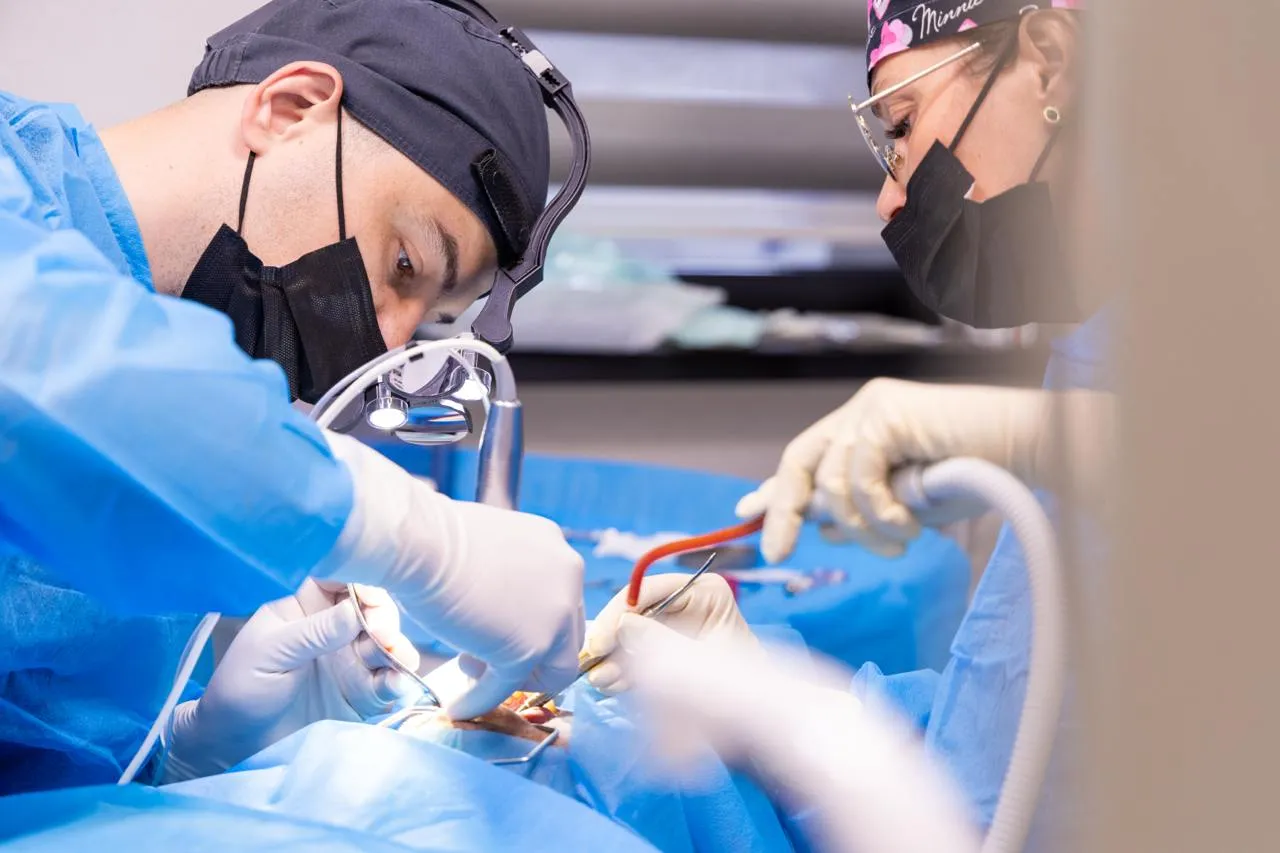 Стоматолог