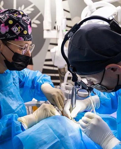 Стоматологи